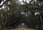 Oak Alley Plantation